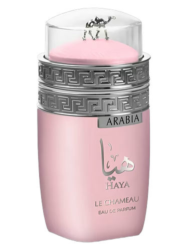 Arabia Haya (Le Chameau) R50 - R399